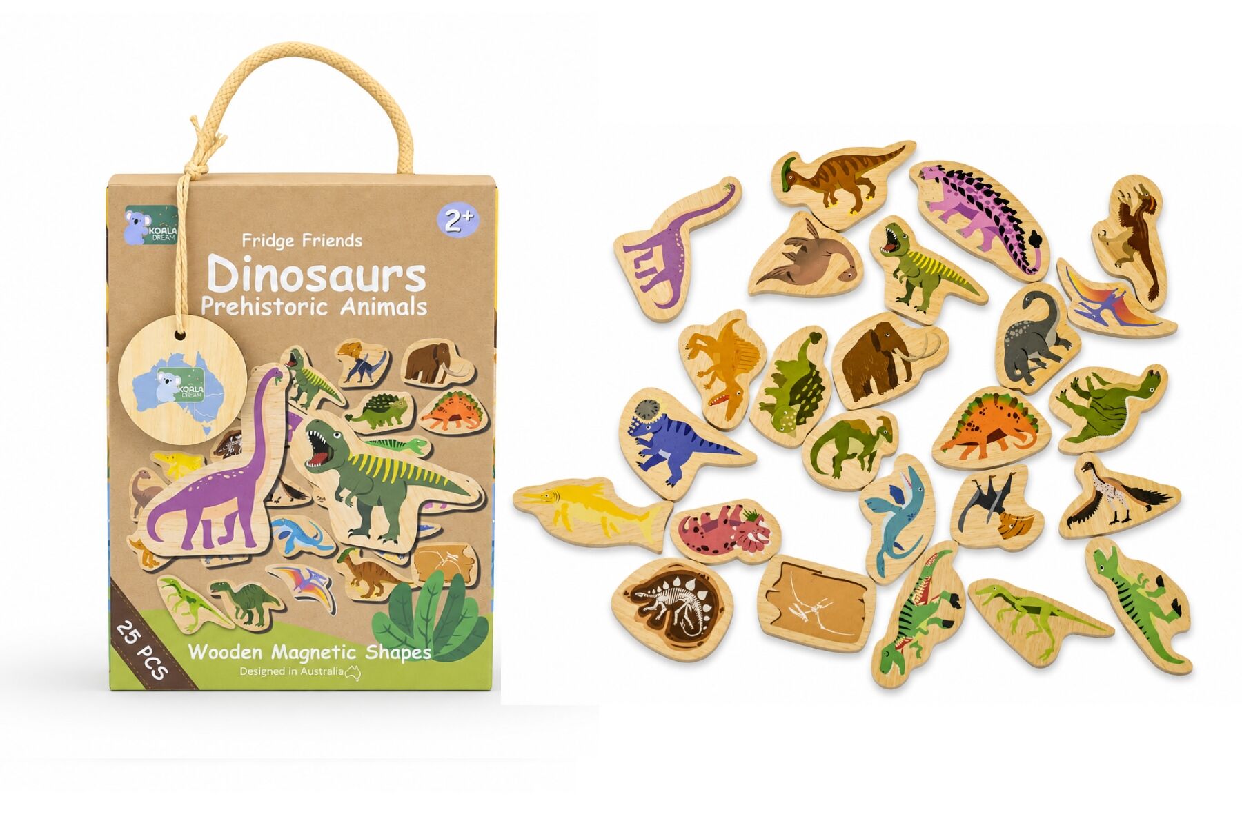 Dinosaur Magnets Educational Set 13x5.5x17cm