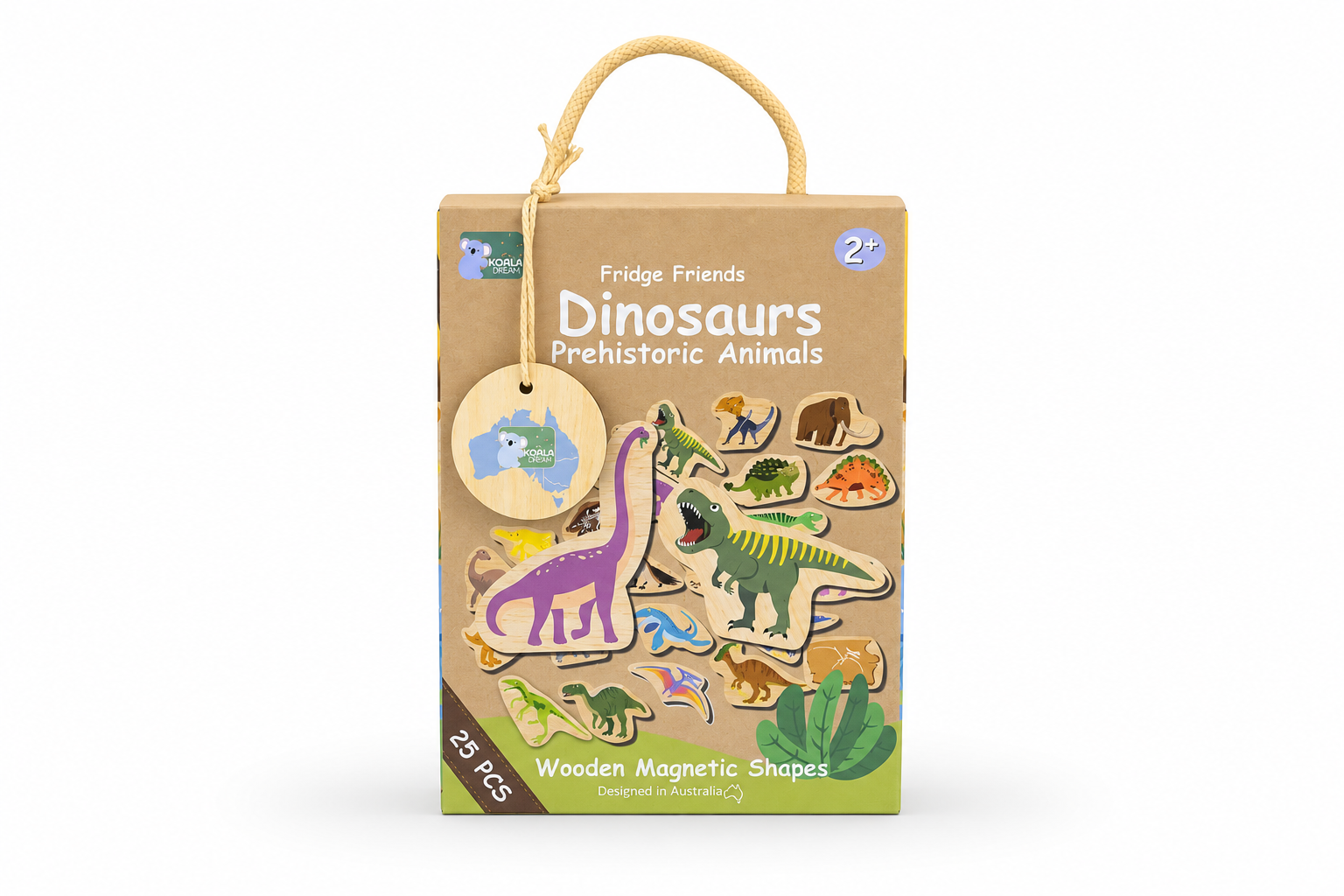 Dinosaur Magnets Educational Set 13x5.5x17cm