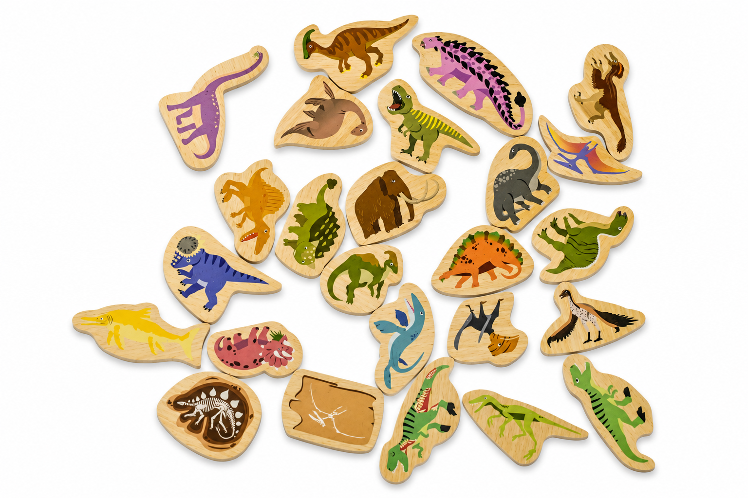 Dinosaur Magnets Educational Set 13x5.5x17cm