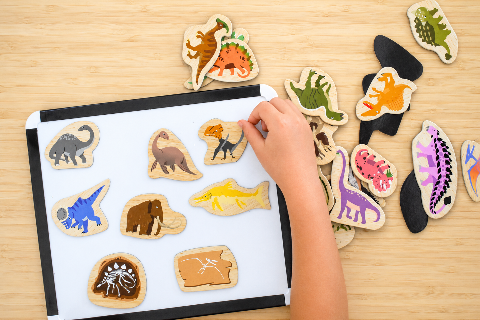 Dinosaur Magnets Educational Set 13x5.5x17cm