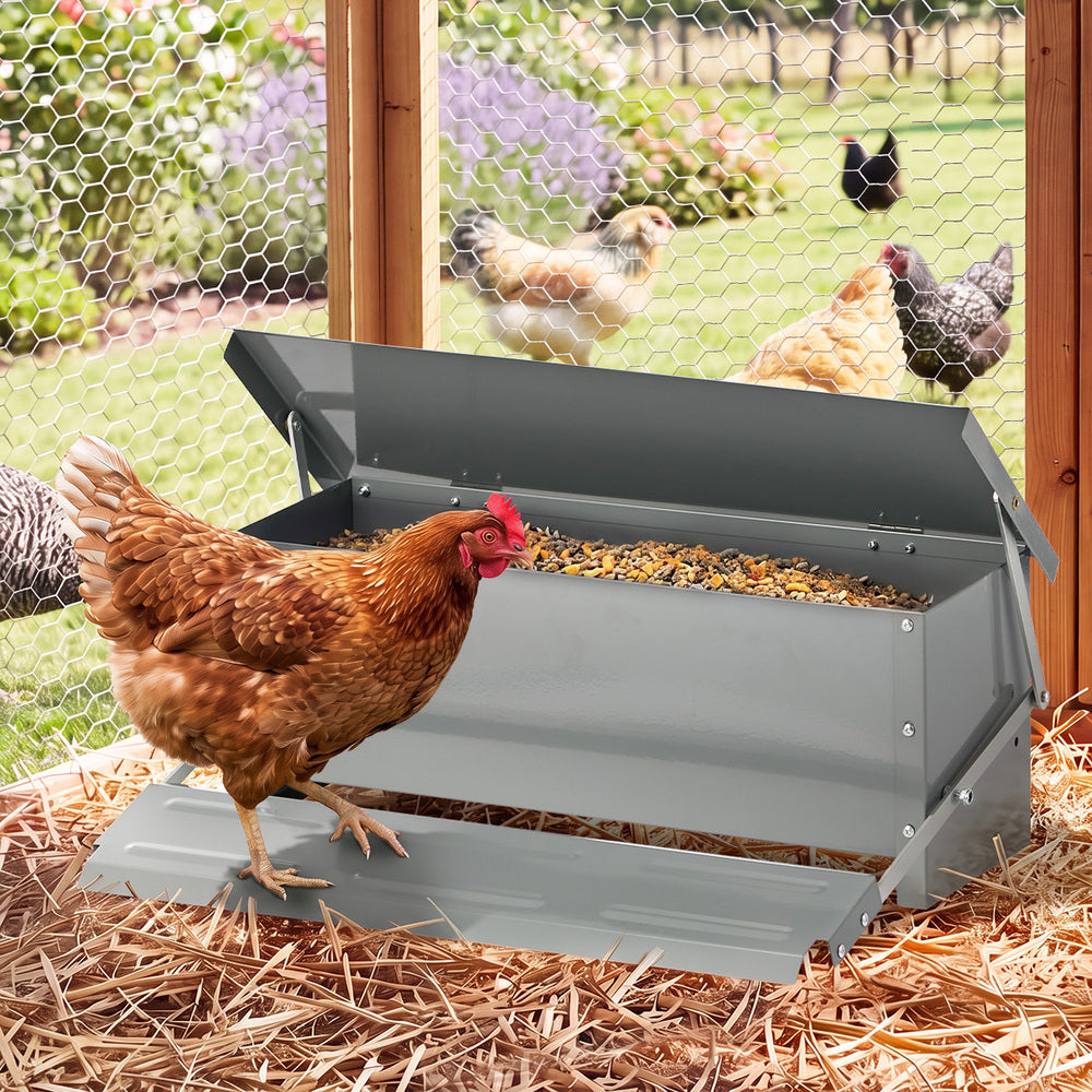 Chicken Feeder Automatic Galvanized 51x38x19cm