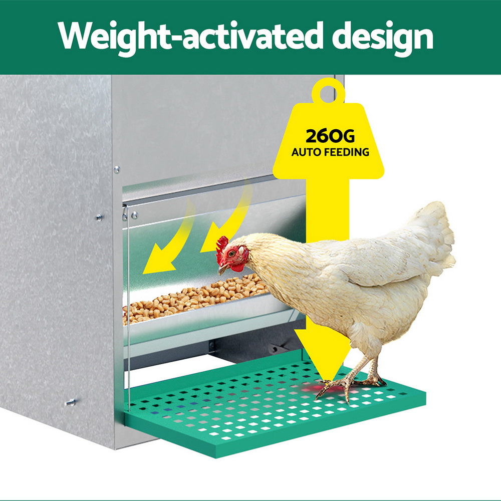 Automatic Chicken Feeder Port Coop Chick Poultry Treadle Self Opening | Farm Equipment - photo 6