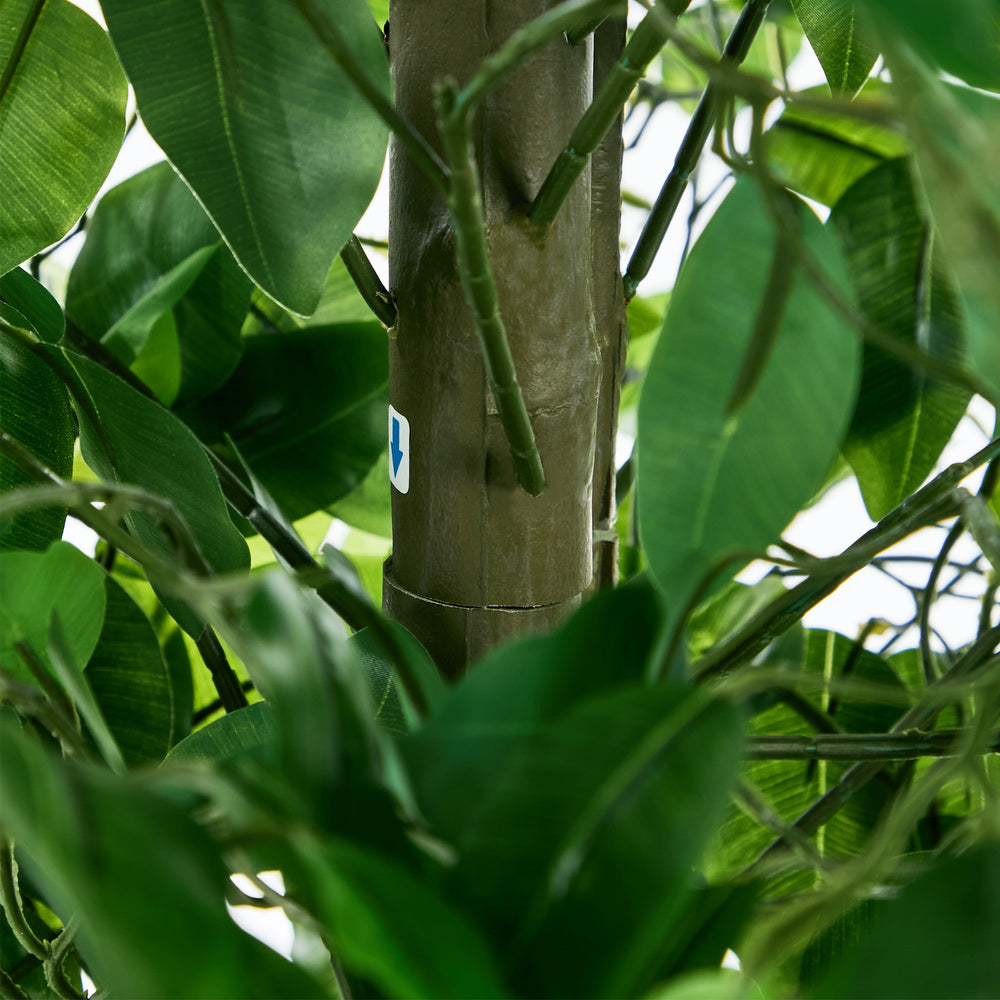 2x Ficus Tree 150cm Potted  Plants