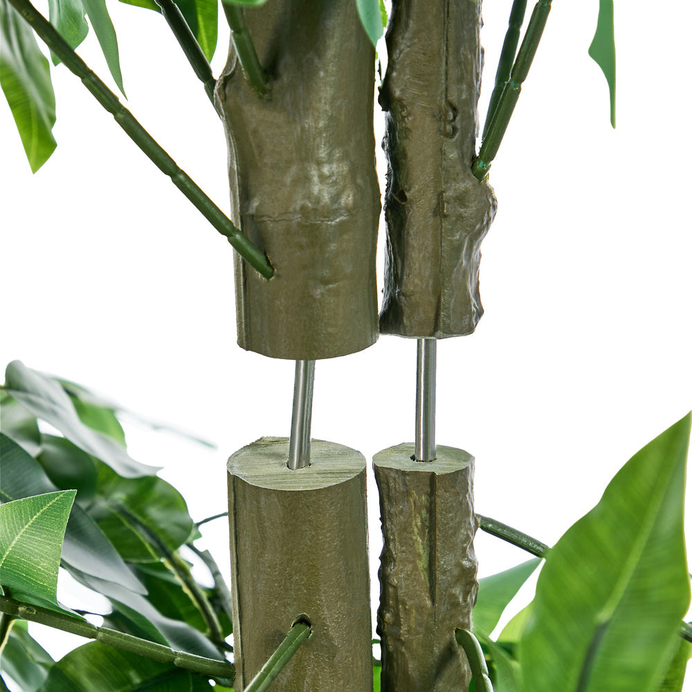 2x Ficus Tree 150cm Potted  Plants