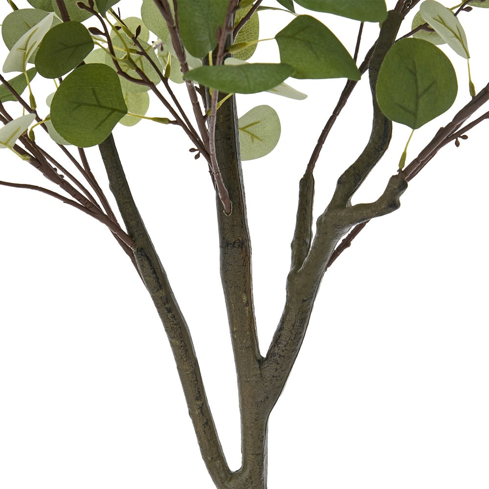150cm Eucalyptus Tree Potted  Plant