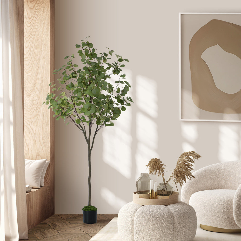 150cm Eucalyptus Tree Potted  Plant