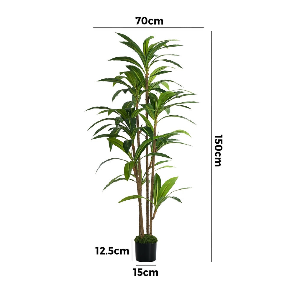 150cm Dracaena Tree Potted  Plant