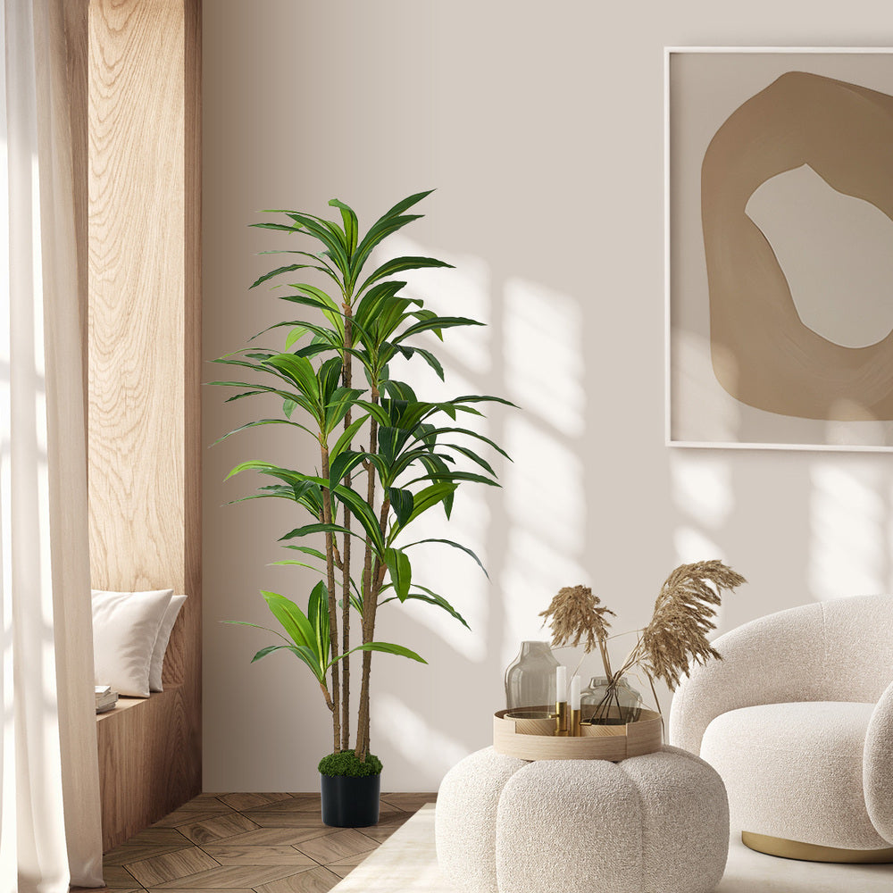 150cm Dracaena Tree Potted  Plant