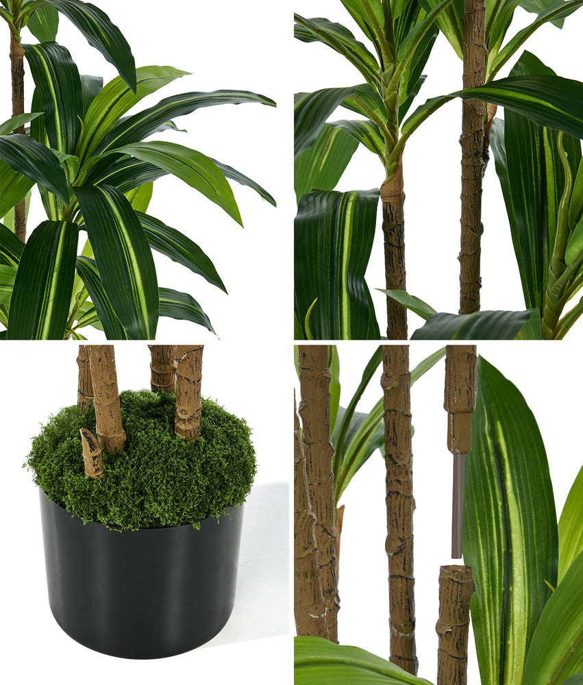 150cm Dracaena Tree Potted  Plant