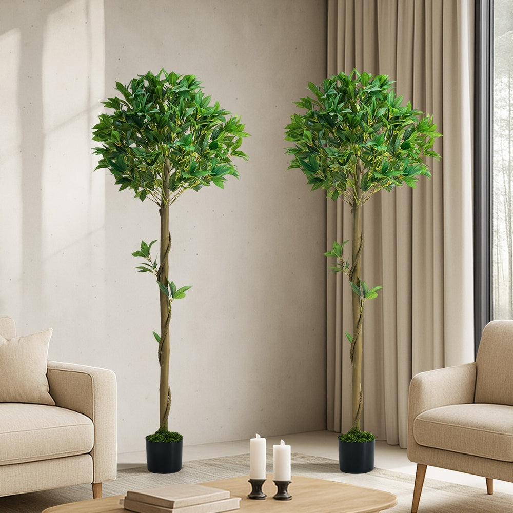 Artificial Bay Tree Topiary 150cm