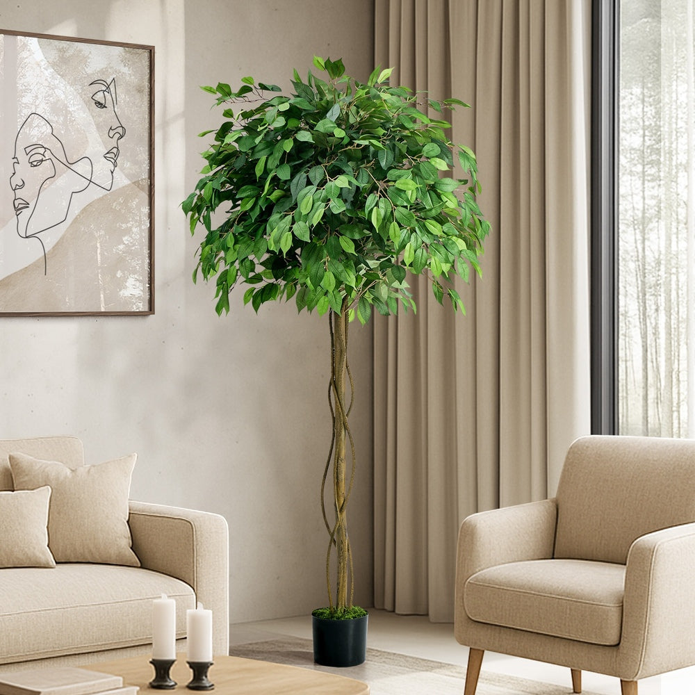 Faux Ficus Tree 180cm