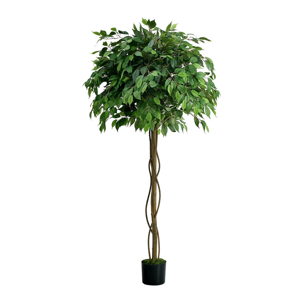 Faux Ficus Tree 180cm