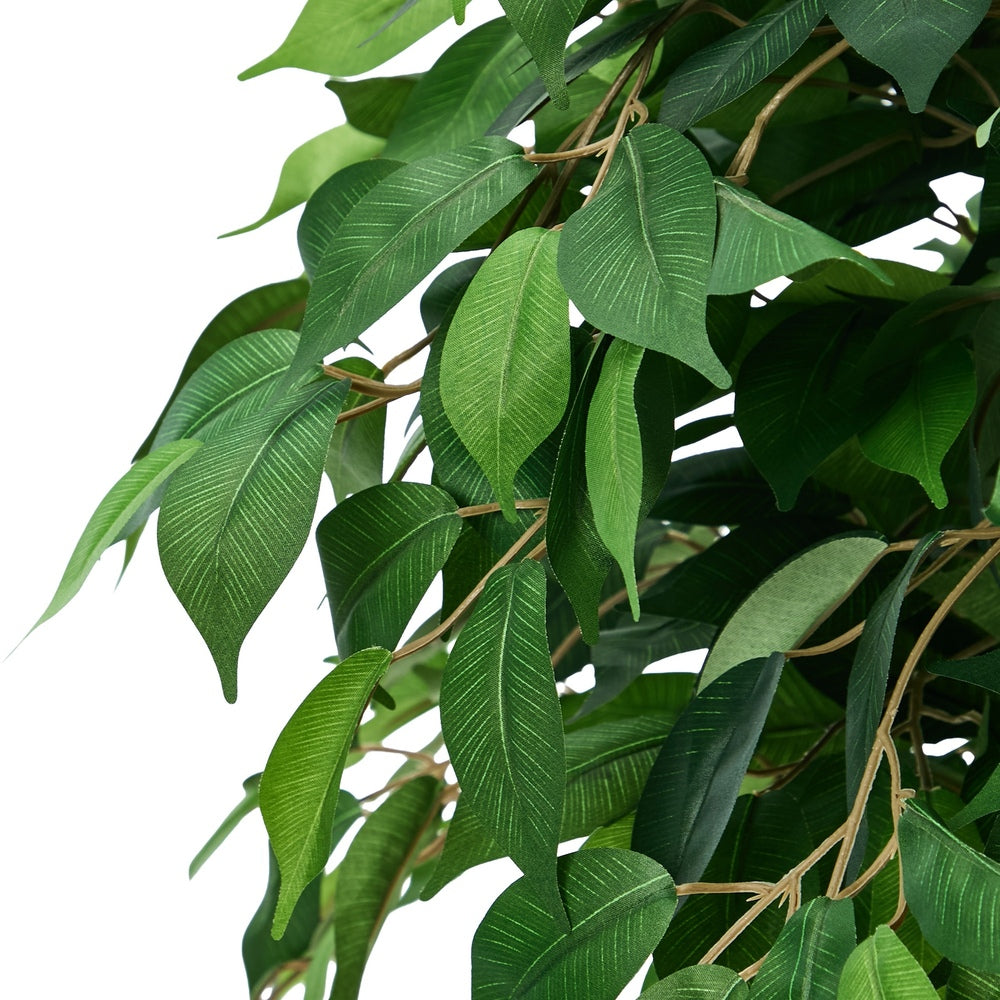 Faux Ficus Tree 180cm