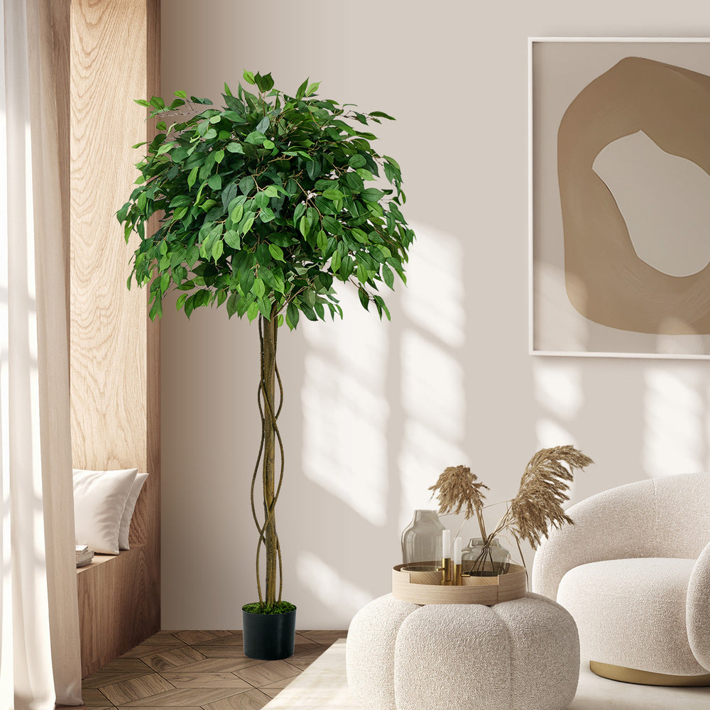 Faux Ficus Tree 180cm
