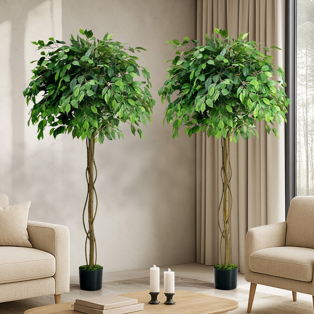 Faux Ficus Tree 180cm Green