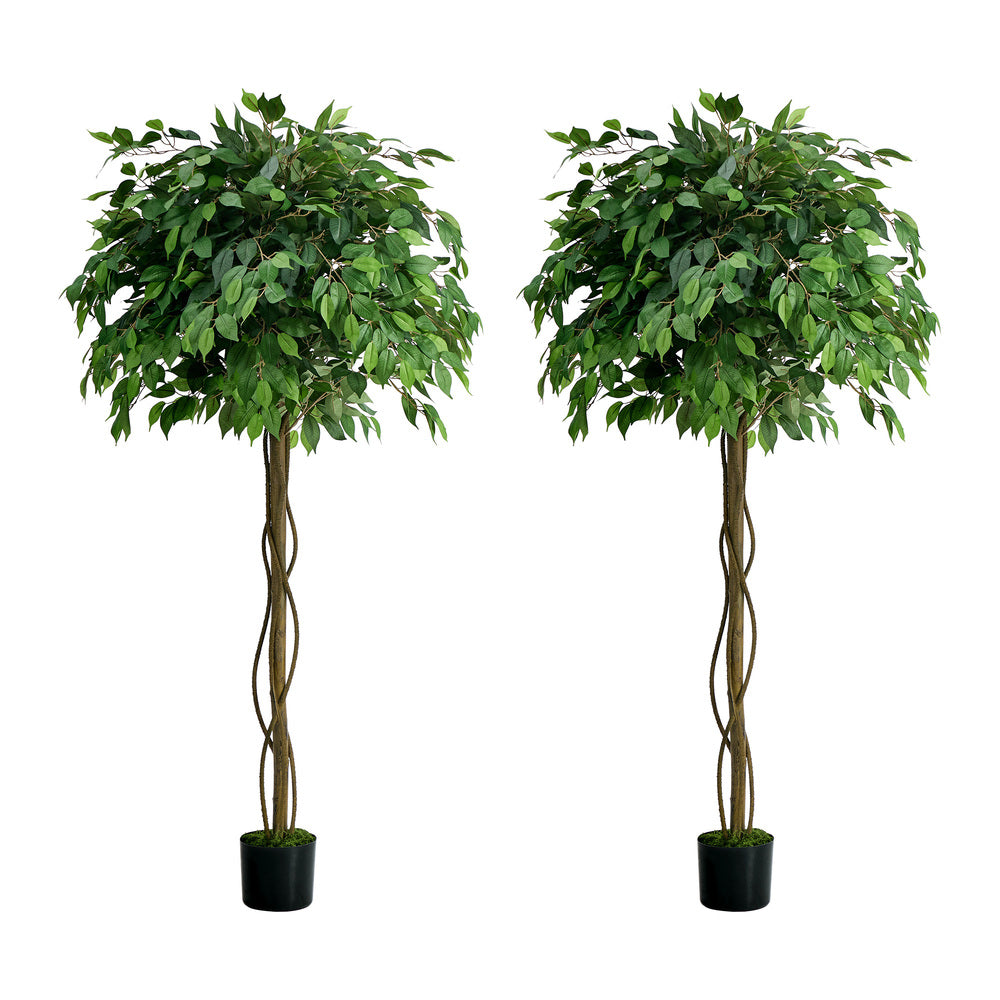 Faux Ficus Tree 180cm Green