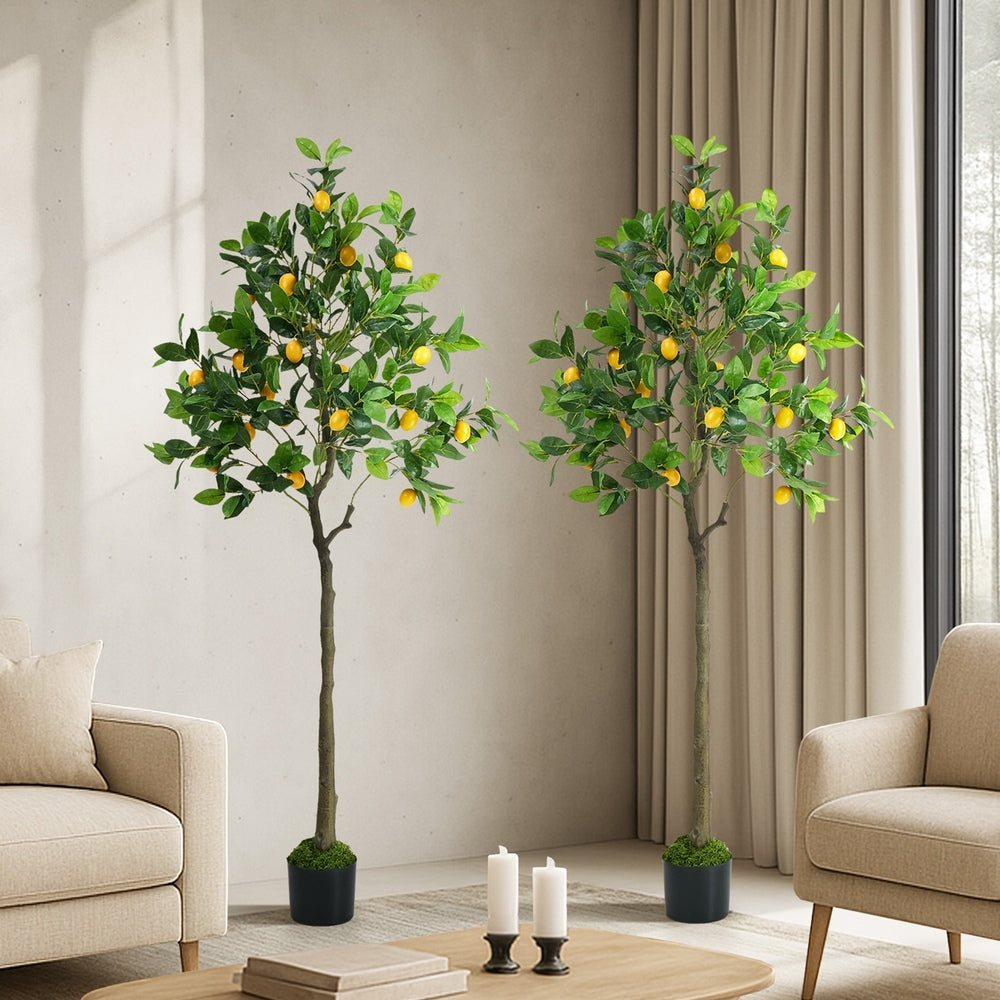 Lemon Tree Faux Plant Decor