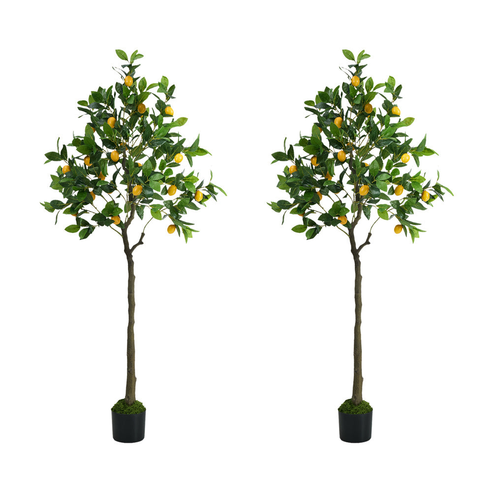 Lemon Tree Faux Plant Decor