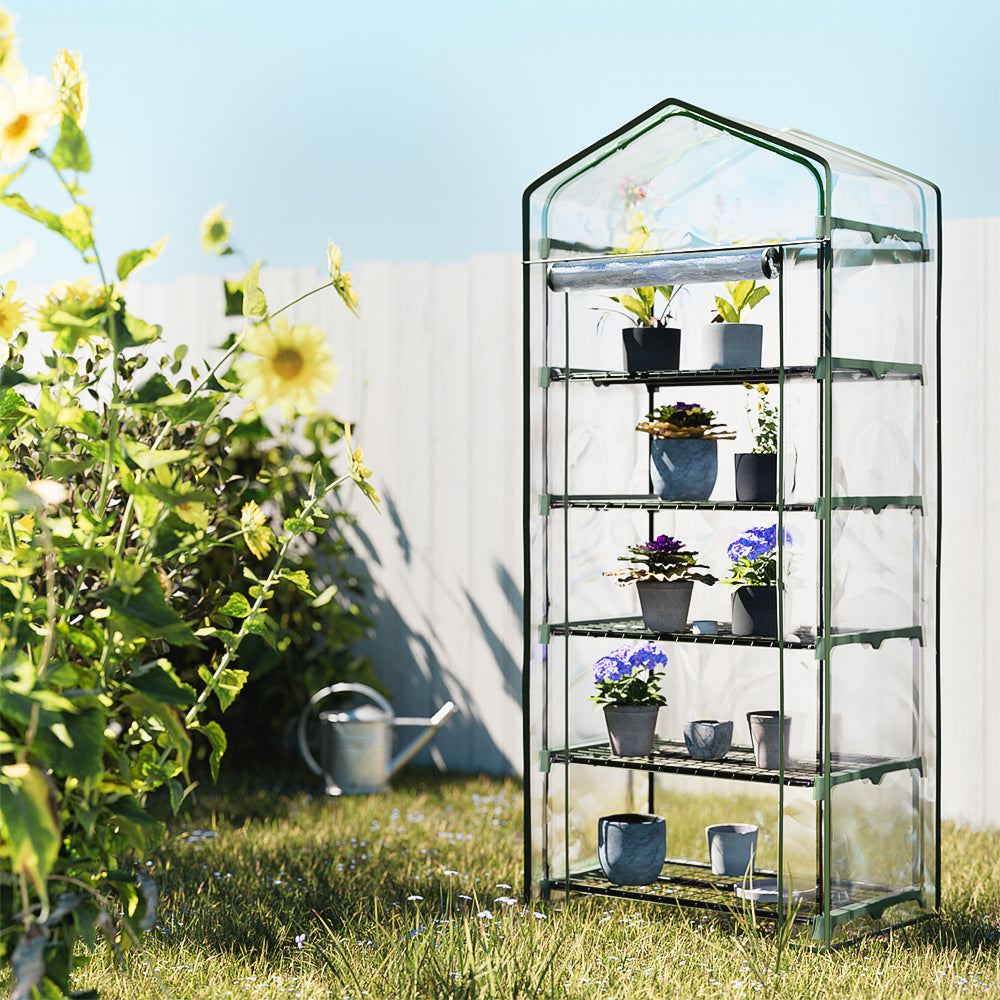 BlossomHaven: Compact Greenhouse Shed for Your Garden Delights