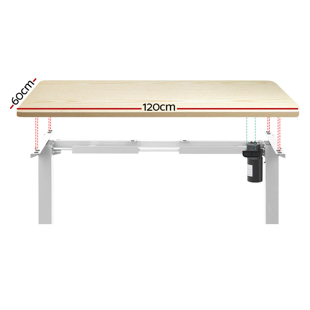 Motorised Adjustable Sit Stand Desks | Electric Standing Desk in Black Oak