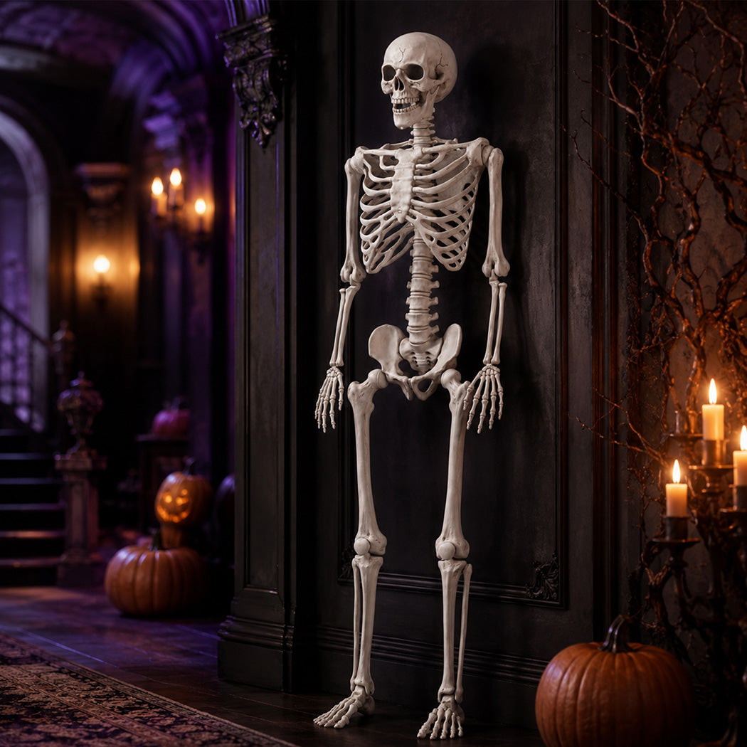 Life Size Skeleton Decoration Poseable 165x36x11cm