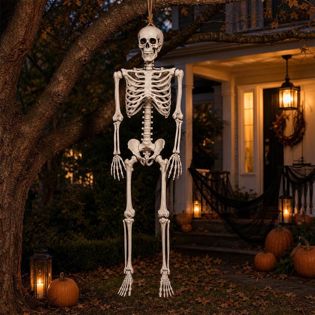 Life Size Skeleton Decoration White 169x36x11cm