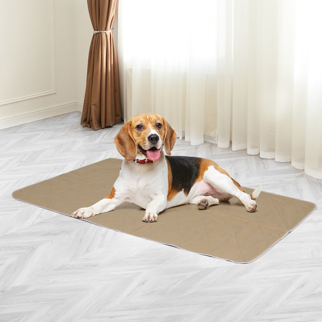 2 Pcs 60x90 cm Reusable Waterproof Large