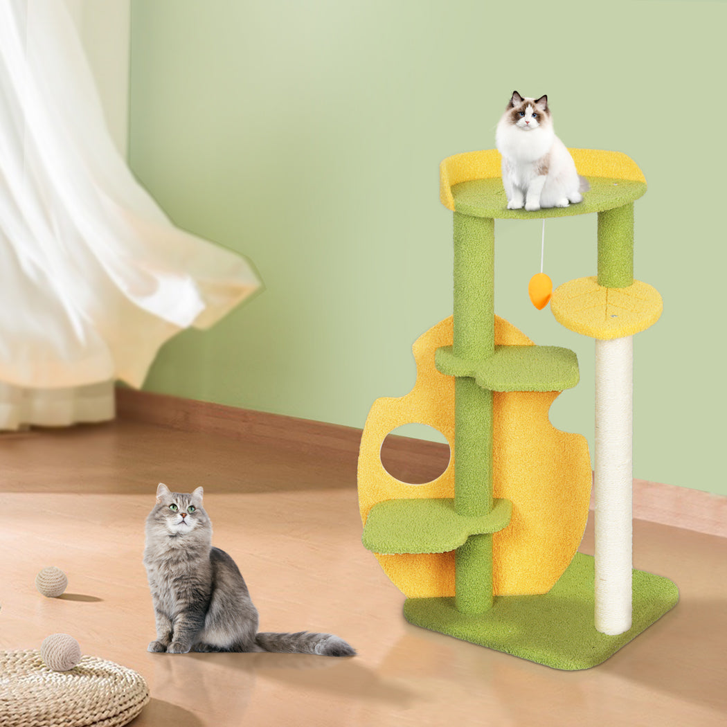 Cat Tree Furniture Condo 48x40x100cm