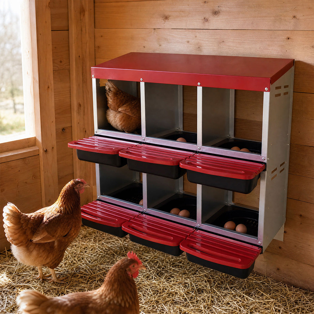 6 Hole Roll Away Chicken Nesting Box | Simpledeals