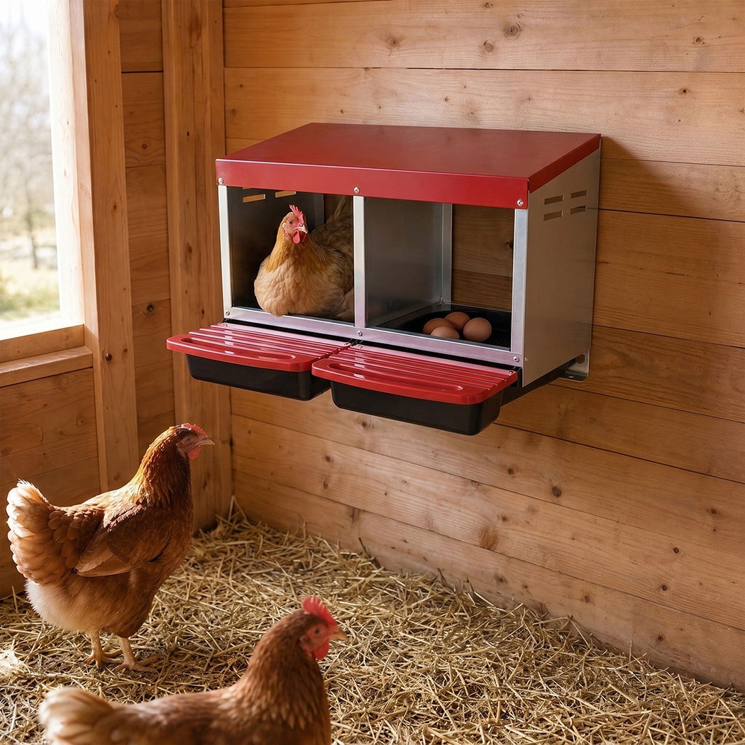 Chicken Nesting Box 2 Hole Roll Away Eggs | Simpledeals