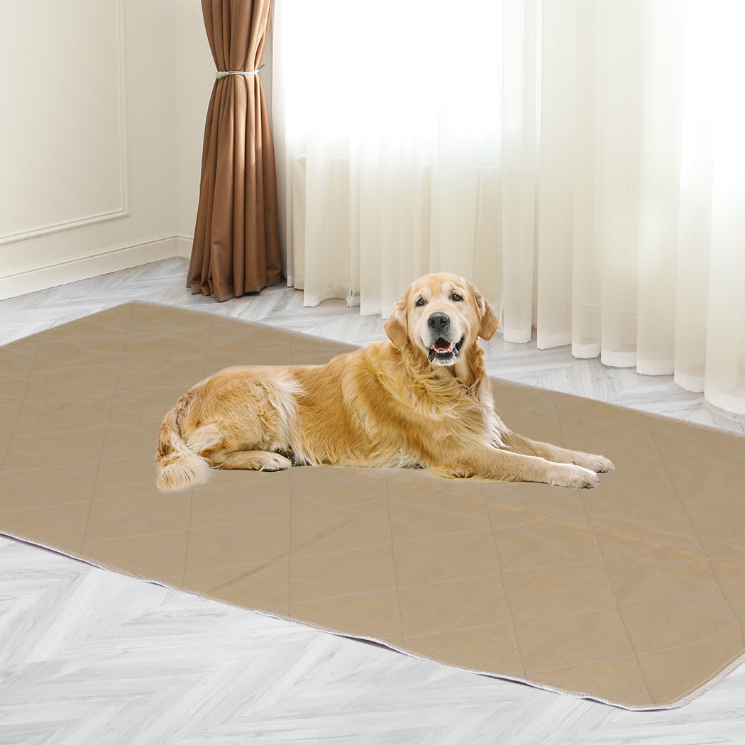 2 Pcs 120x180 cm Reusable Waterproof KING