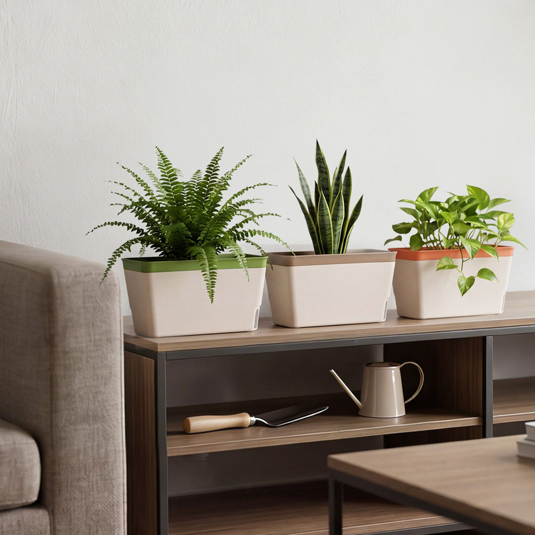 Self Watering Plant Pots 3 Pack Indoor | Simpledeals