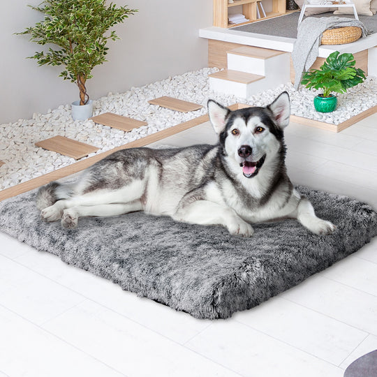 Dog Mat Pet Calming Bed Memory XL Charcoal X-Large