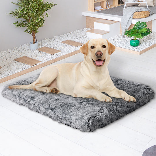 Dog Mat Pet Calming Bed Memory L Charcoal Large - Foam Orthopedic Removable Cover