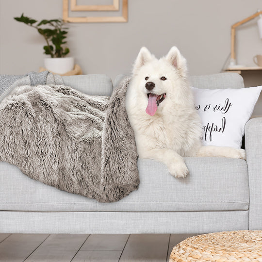 Dog Blanket Pet Cat Mat Puppy Warm Brown - Soft Plush Washable Reusable