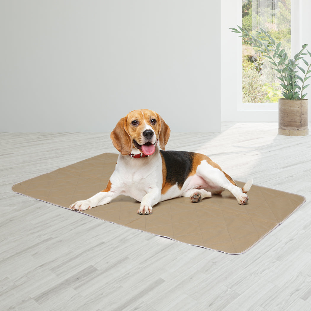 2 Pcs 60x90 cm Reusable Waterproof Large