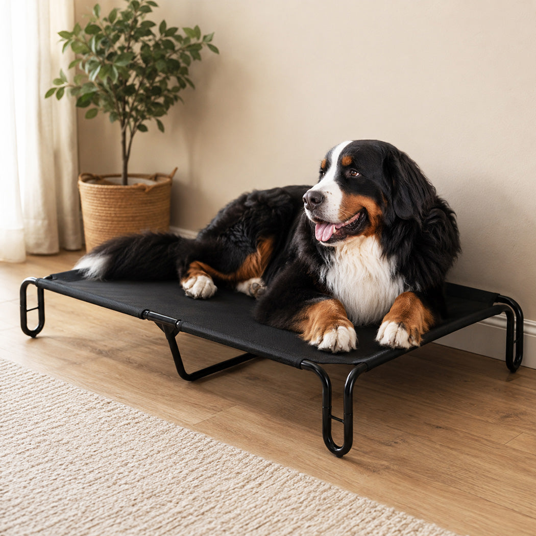 Elevated Dog Bed Mesh Cooling 120x82x20cm
