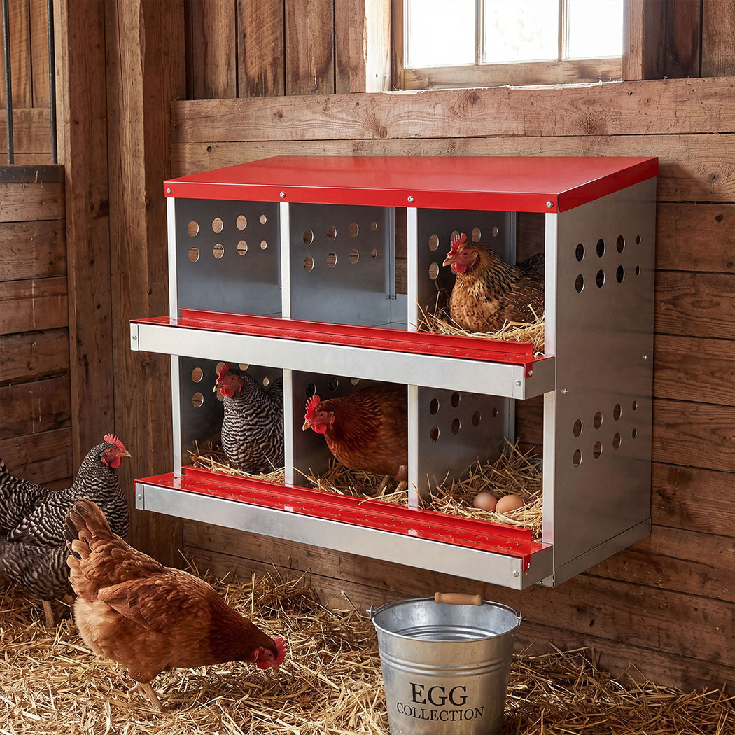 6 Hole Roll Away Nesting Box Galvanised | Simpledeals