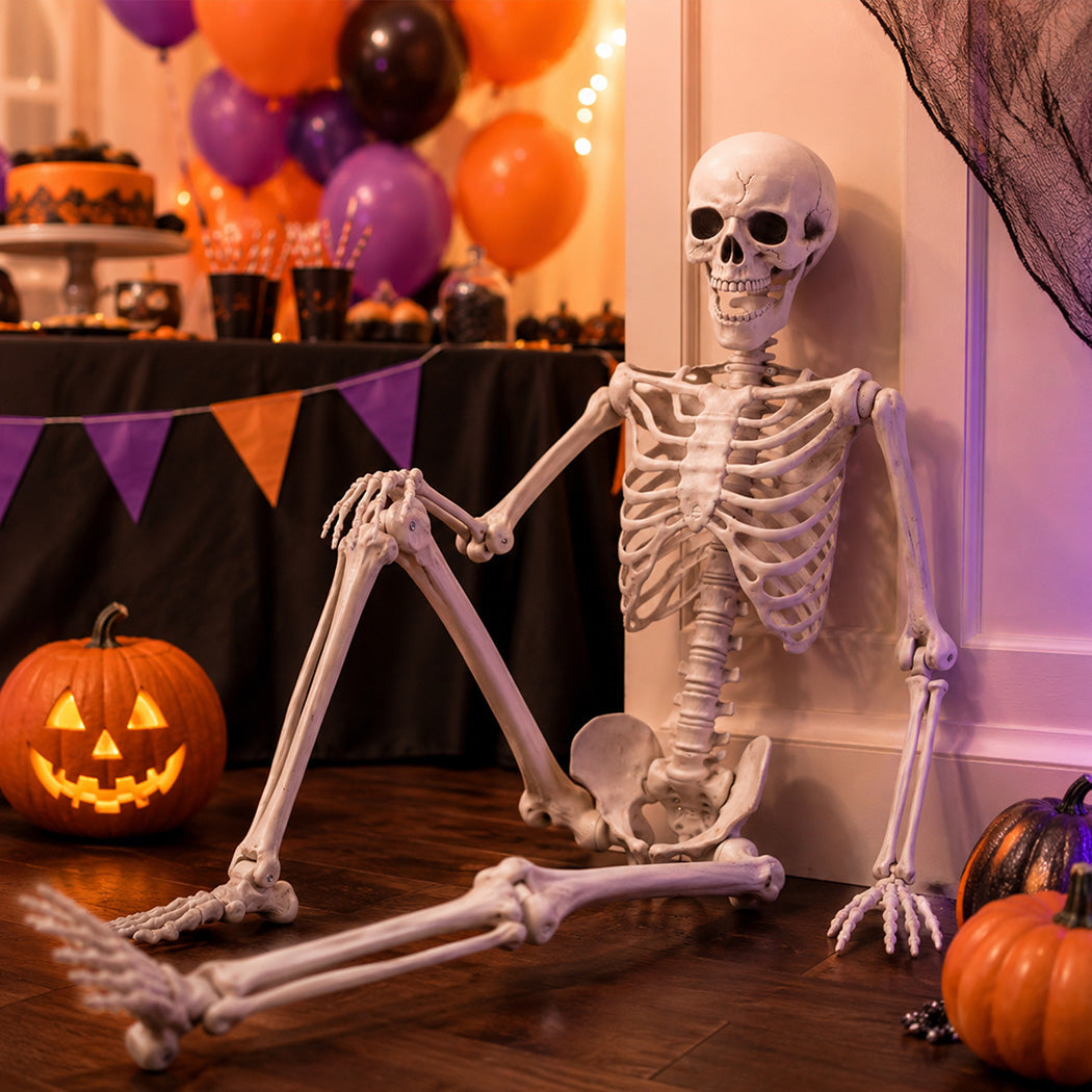 Life Size Skeleton Decoration Poseable 165x36x11cm