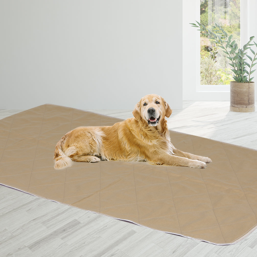 2 Pcs 120x180 cm Reusable Waterproof KING