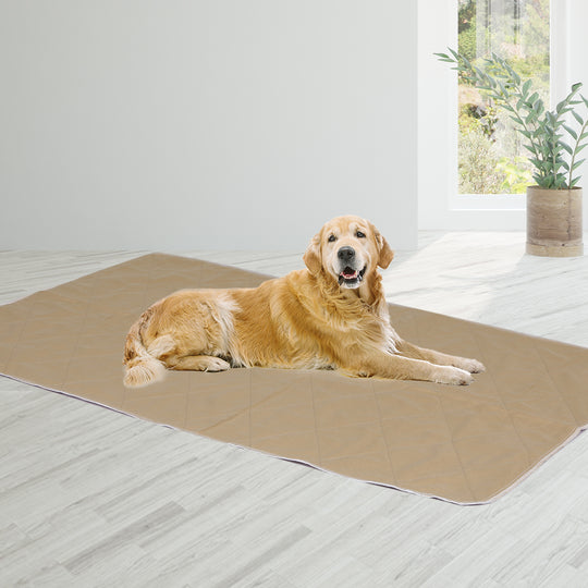 2 Pcs 120x120 cm Reusable Waterproof JUMBO - Pet Puppy Toilet Training