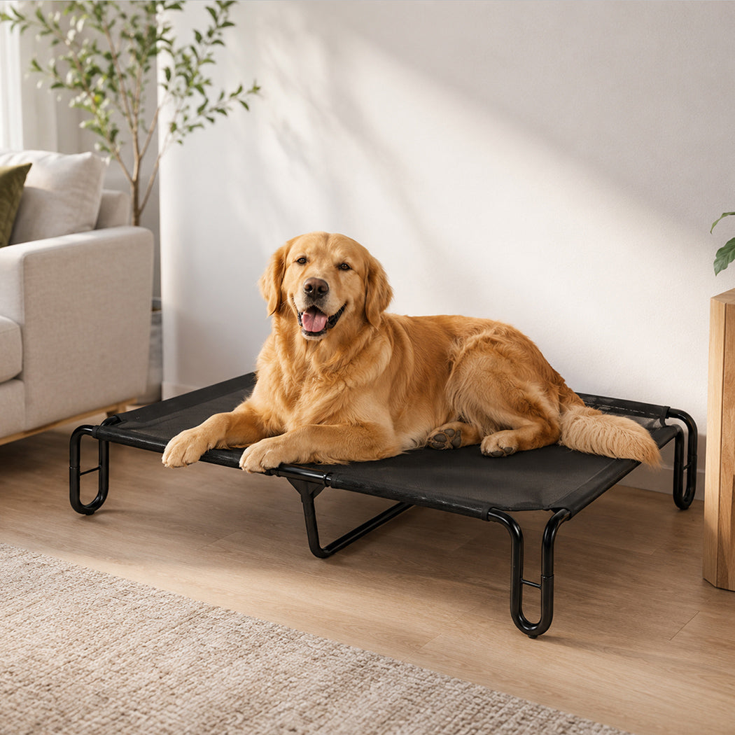 Dog Bed Mesh Cooling Black 110x76x20cm