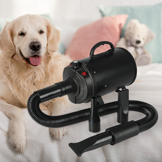 Dog Cat Pet Hair Dryer Grooming Blow Black - Speed Hairdryer Blower Heater