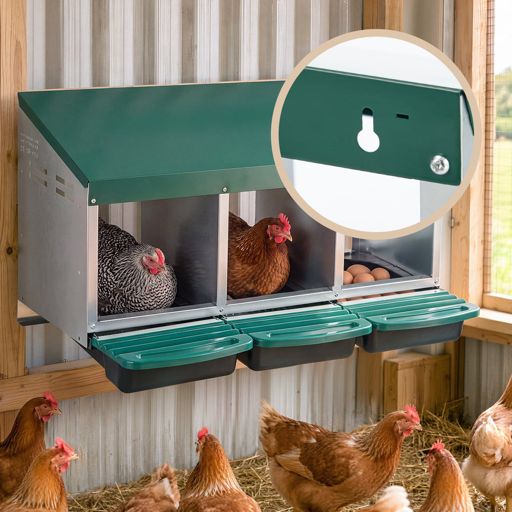 Chicken Nesting Box With Stand 80x51x78cm