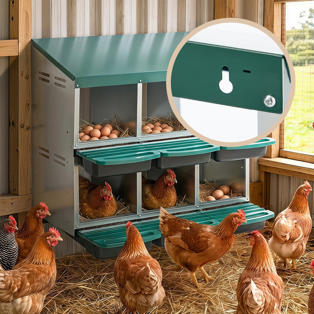 Chicken Nesting Box 6 Holes 80x51x79cm