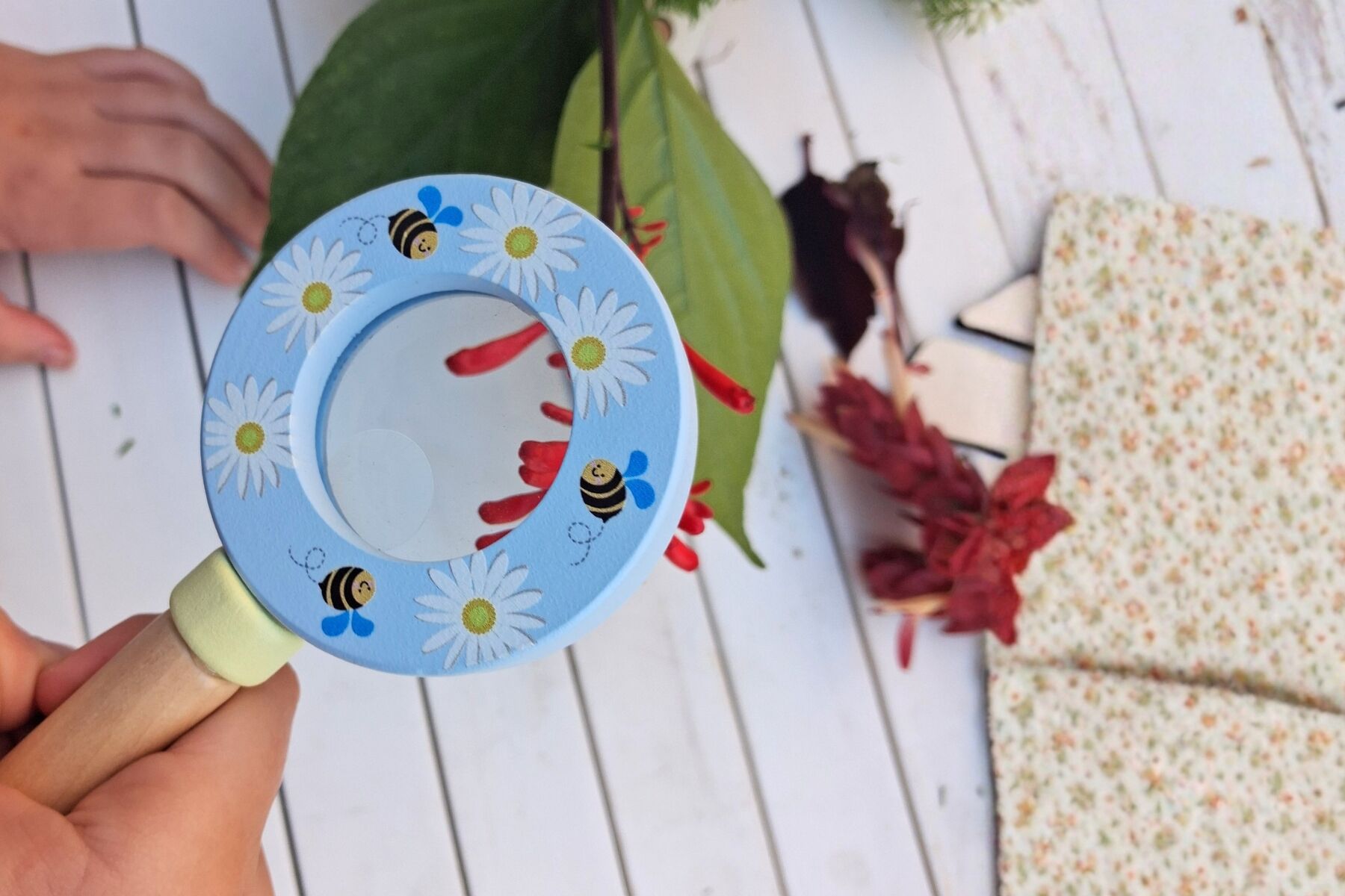 Wildlife Magnifying Glass Set Natural 6x1.3x12cm