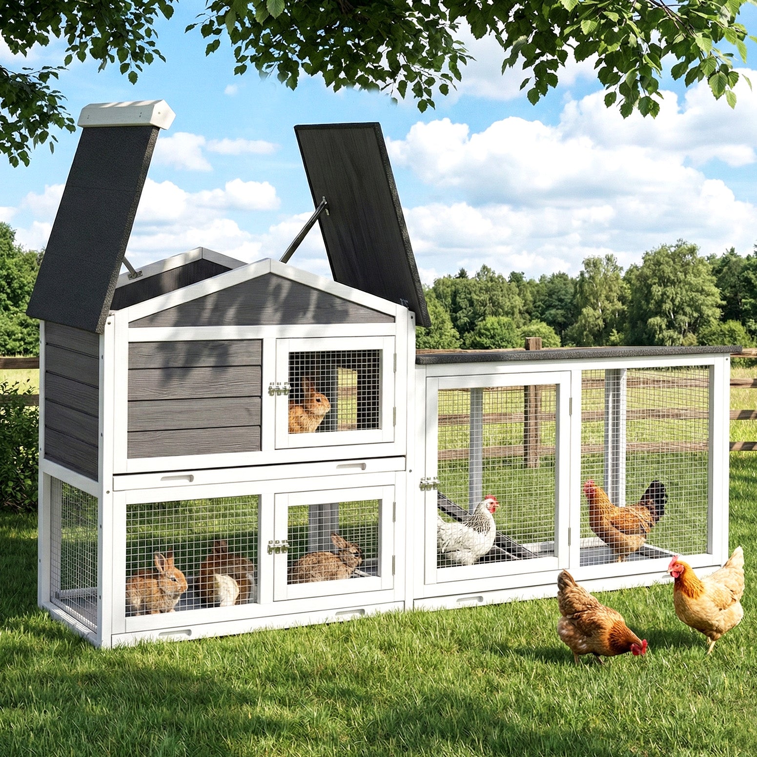 Versatile Extra Large Wooden Chicken Coop - Rabbit Hutch