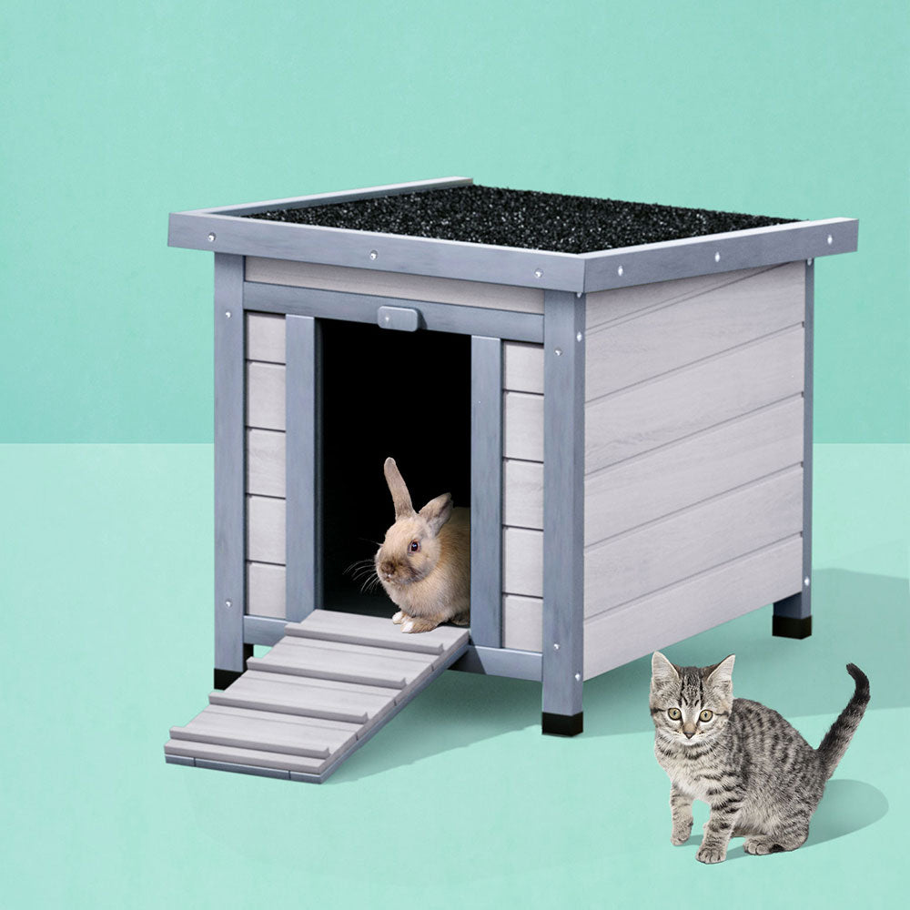 Dog Supplies