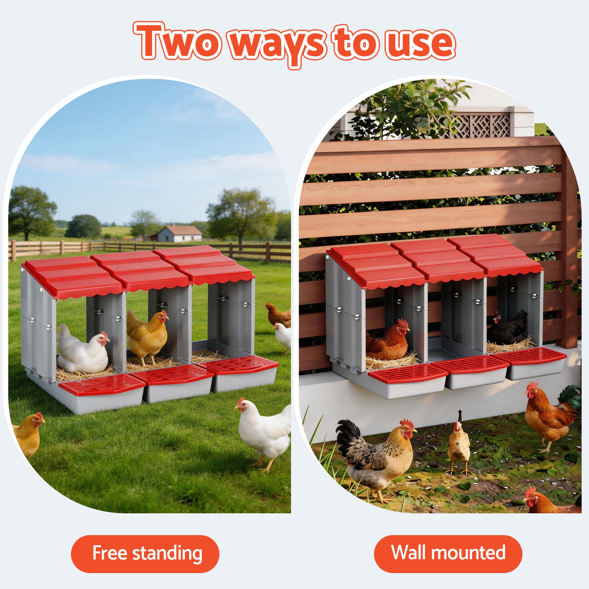 3 Hole Roll Away Chicken Nesting Box Auto Egg Collection Poultry Coop