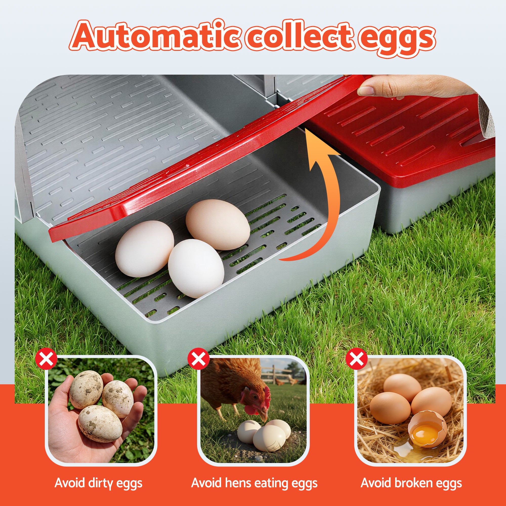 3 Hole Roll Away Chicken Nesting Box Auto Egg Collection Poultry Coop